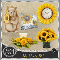 CU PACK 757