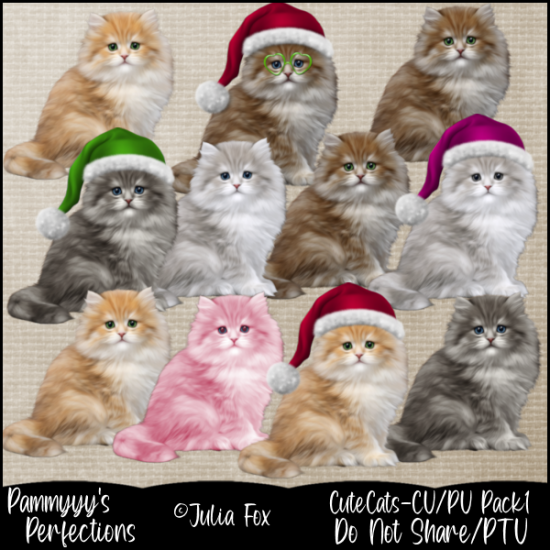 Cute Cats Pack1 - Click Image to Close