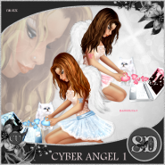 Cyber Angel 1