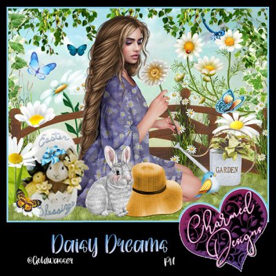 Daisy Dreams