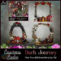 Dark Journey Cluster Frames