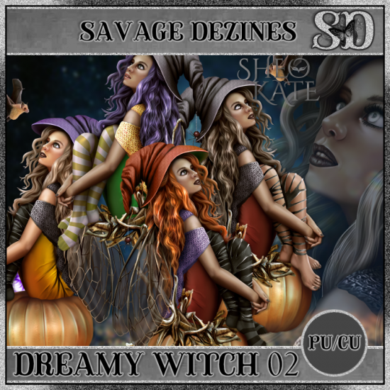 Dreamy Witch 02 CU - Click Image to Close