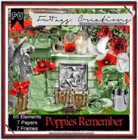 Poppies Remember