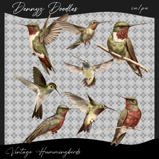 Vintage Hummingbirds clipart - Click Image to Close