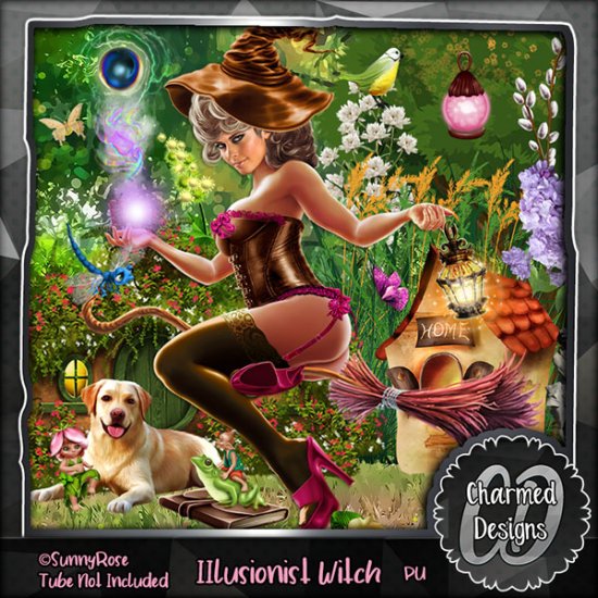 Illusionist Witch - Click Image to Close