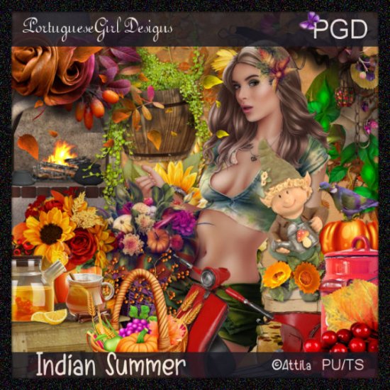 Indian Summer - Click Image to Close