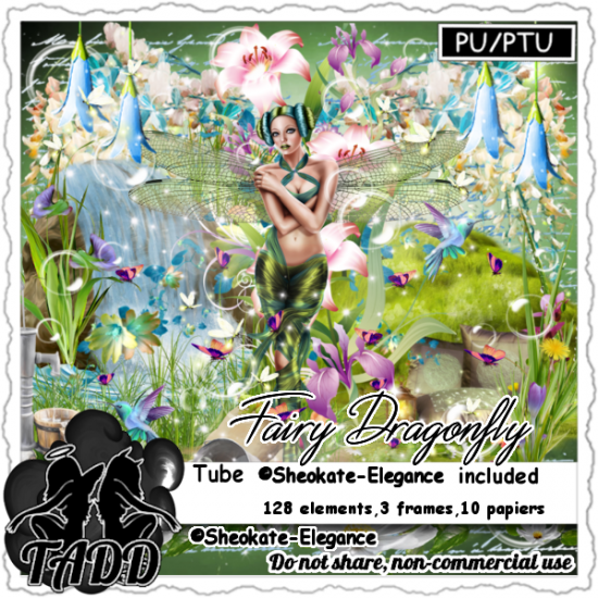 Fairy Dragonfly - Click Image to Close