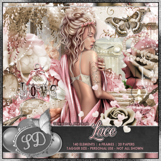 Lace Kit - Click Image to Close