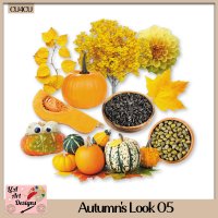 Autumn Look 05 - CU4CU