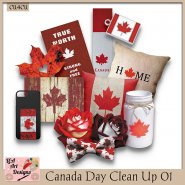 Canada Day Clean Up 01 - CU4CU