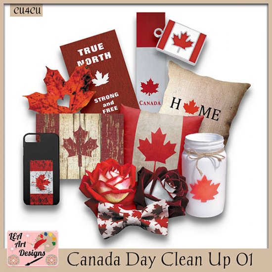 Canada Day Clean Up 01 - CU4CU - Click Image to Close