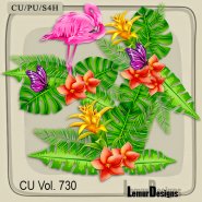 CU Vol. 730 Beach Clusters
