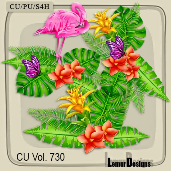 CU Vol. 730 Beach Clusters - Click Image to Close