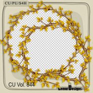 CU Vol. 844 Frames by Lemur Designs