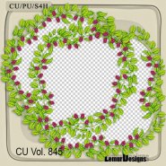 CU Vol. 845 Frames by Lemur Designs