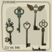 CU Vol. 848 Key by Lemur Designs