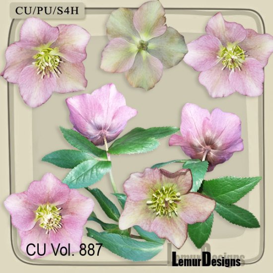 CU Vol. 887 Flowers Lemur Designs - Click Image to Close