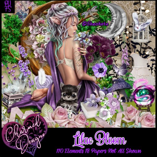 Lilac Bloom - Click Image to Close