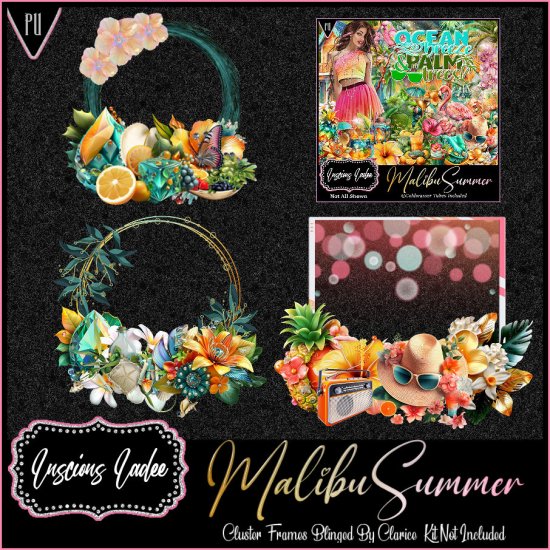 Malibu Summer Cluster Frames - Click Image to Close