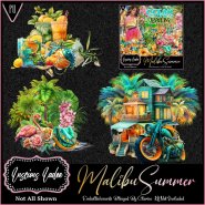 Malibu Summer Embellishments