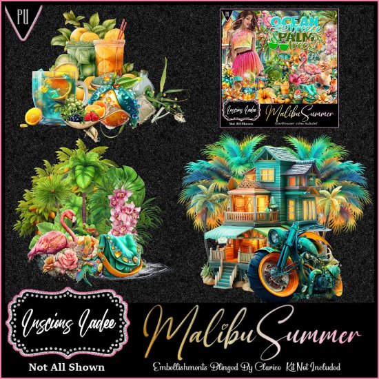 Malibu Summer Embellishments - Click Image to Close