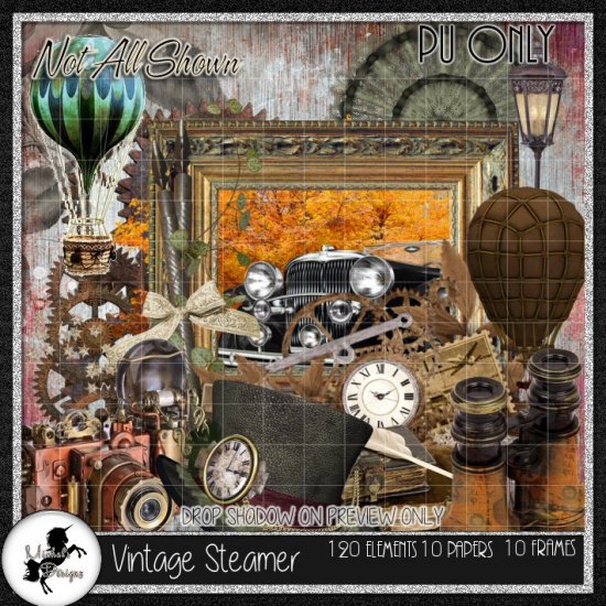 MD_Vintage Steamer - Click Image to Close