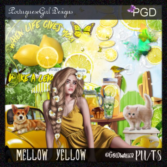 Mellow Yellow - Click Image to Close