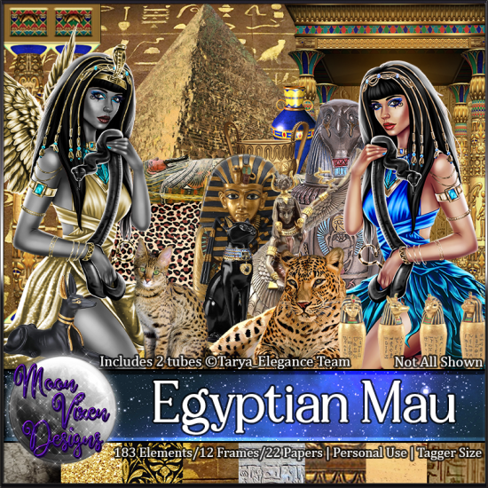 Egyptian Mau - Click Image to Close