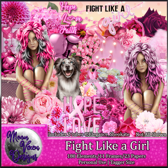 Fight Like a Girl - Click Image to Close