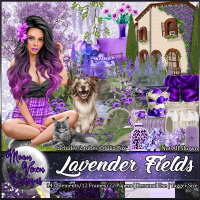 Lavender Fields