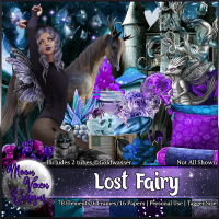 Lost Fairy