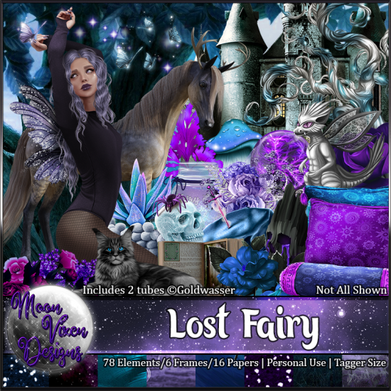 Lost Fairy - Click Image to Close