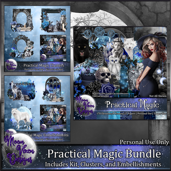 Practical Magic Bundle - Click Image to Close