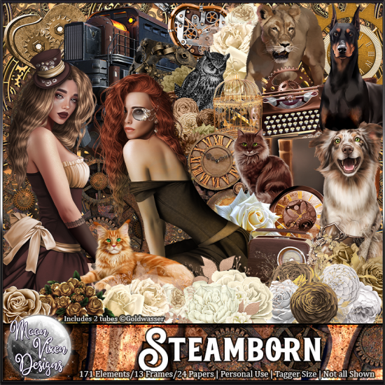 Steamborn + Bonus - Click Image to Close