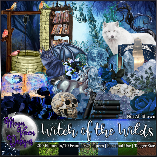 Witch of the Wilds - Click Image to Close