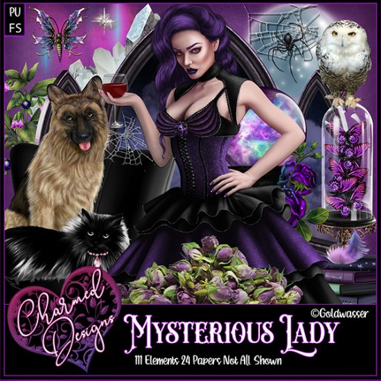 Mysterious Lady - Click Image to Close