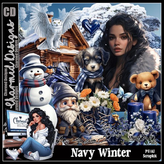 Navy Winter - Click Image to Close