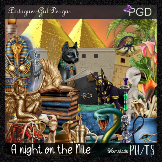 A Night on the Nile - Click Image to Close