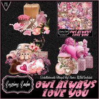 Owl Always Love You Embellishments