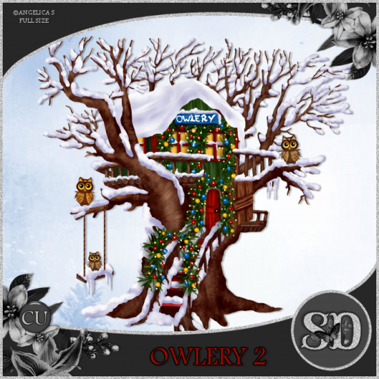 Owlery 2 CU - Click Image to Close