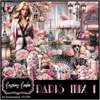 Paris Mix 1