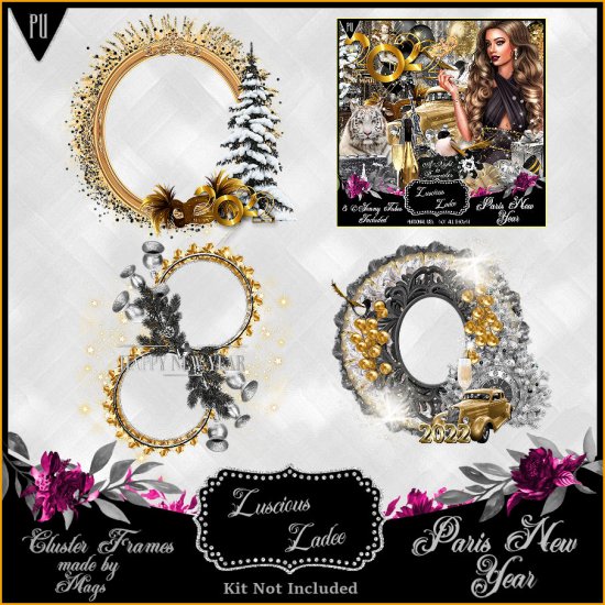 Paris New Year Cluster Frames - Click Image to Close