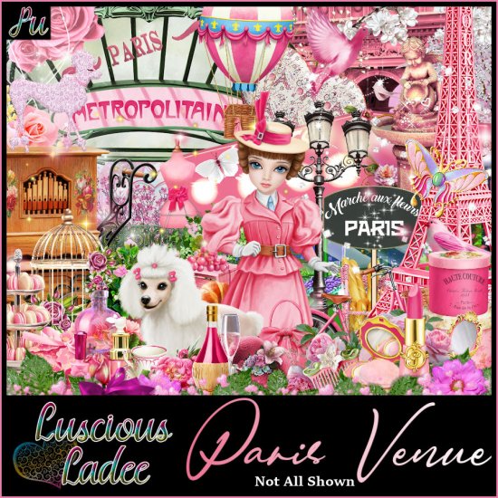 Paris Venue - Click Image to Close