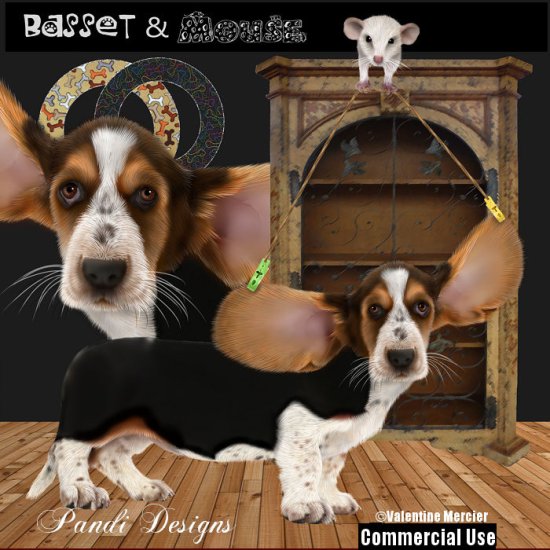 Basset Hound - Click Image to Close