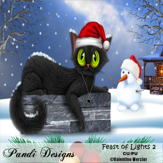 Feast Of Lights 2 - Click Image to Close