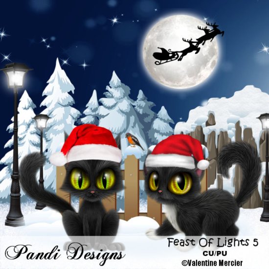 Feast Of Lights 5 - Click Image to Close