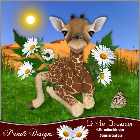 Little Dreamer - Click Image to Close