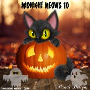 Midnight Meows 10