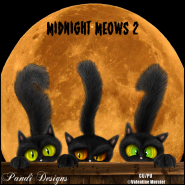 Midnight Meows 2