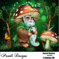 Forest Gnome